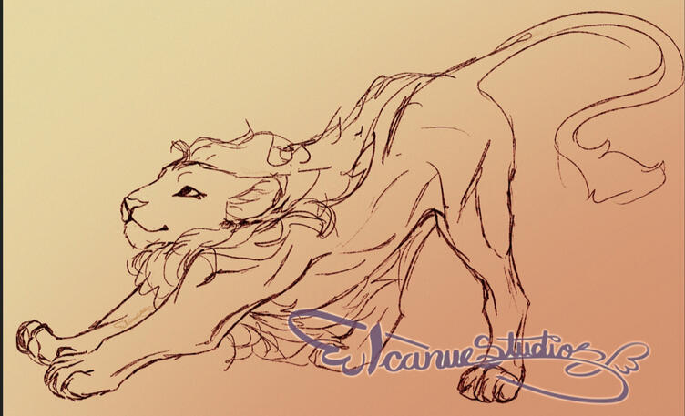 Full Sketch 6$